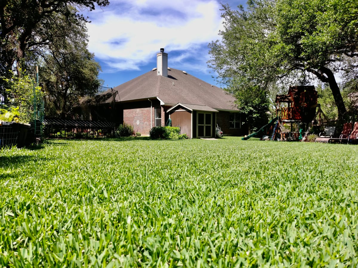 Freshly maintained residential backyard lawn