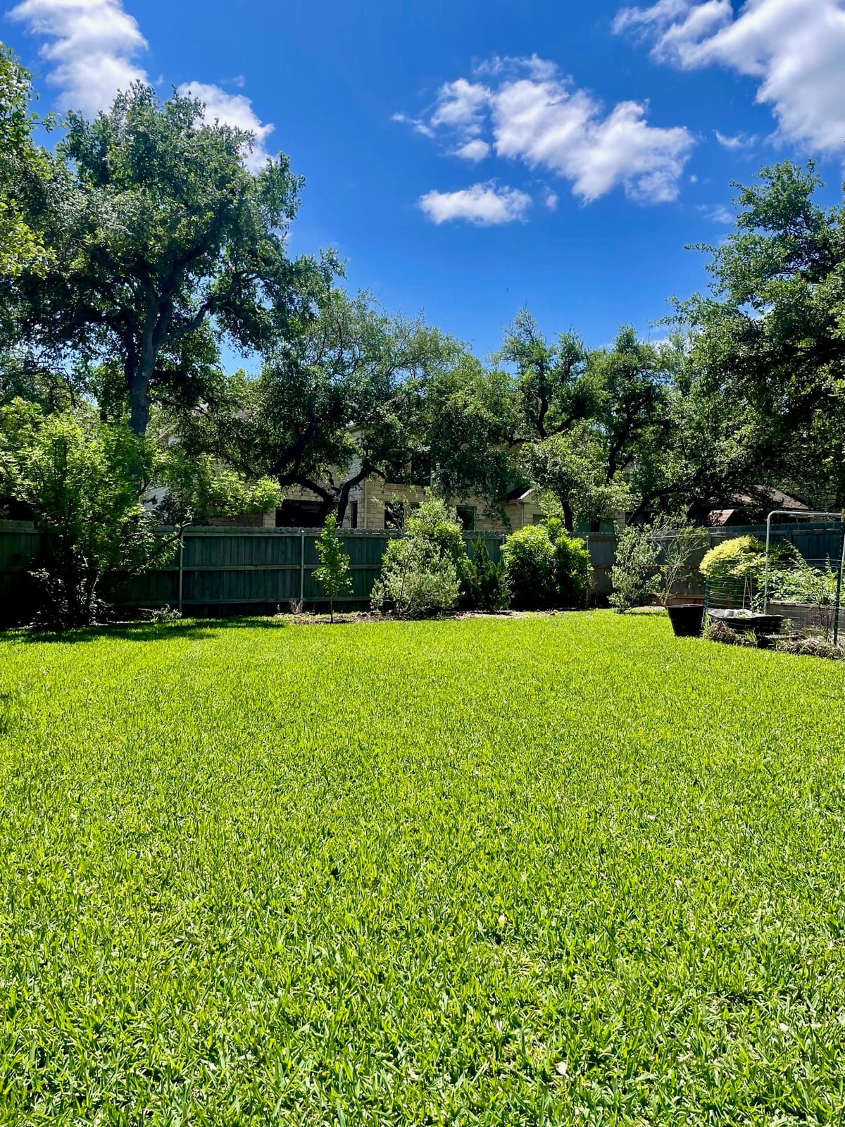 Green residential lawn bordered by a garden